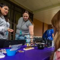 Student staff looking at displays during Student Small Business Market.